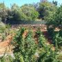 ALMANCIL - Vale Formoso : recente propriedade atípica